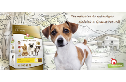Hogyan válasszak kutyatápot?