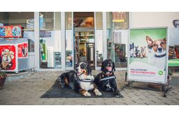 Kutyabaráttá váltak a MOL töltőállomásai