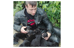 Igazi hős: 12 kidobott kölyökkutyát mentett meg egy motoros