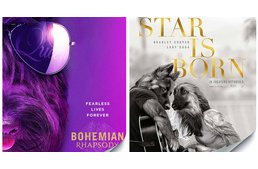 Kutyákkal gondolta újra a Nat Geo az Oscarra jelölt filmek plakátjait