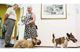 Múzeumok, kiállítóhelyek figyelem!