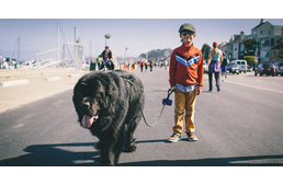 Miben más az élet, ha nagytestű kutyád van?