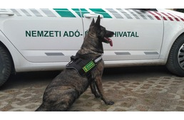 Kutyák kaptak kitüntetést a pénzügyminisztertől