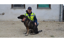 Szolgálati kutyát loptak - igen, ilyen is van!