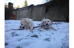 Nyolc óra munka, nyolc óra móka?