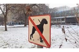 Mérgezés áldozata lett egy kölyök tacskó Székesfehérváron