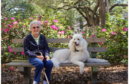 Miss Norma és Ringo fantasztikus utazása