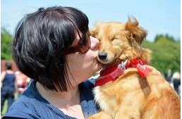 Elvesztette látását - ma már terápiás kutyaként gyógyít