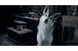 Veszélyben vannak a huskyk a Trónok harca sorozat miatt