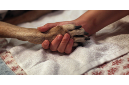 Eutanázia - elutasítva!