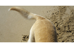 Csóválásból eredő balesetek, amire nem is gondolnál!