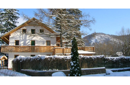 Töltsd az ünnepeket egy kutyabarát helyen!