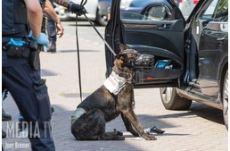 Rendőrkutyát ölt egy szír férfi Hollandiában