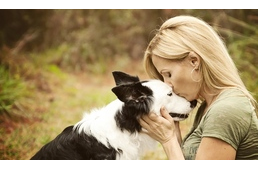 Felnőtt kutyát fogadnál örökbe? Van 10 érvünk mellette!