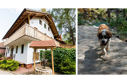 Kutyabarát panzióba nyerhetsz 3 napos hétvégét a Fotópályázatunkon