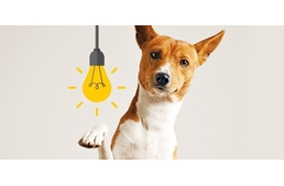 Nem olyan okosak a kutyák, mint azt gondolnánk?