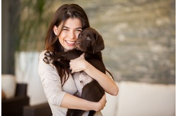 Miért is jó, ha van kutyád?