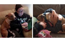 Az örökbefogadott pitbull nem bírja abbahagyni új gazdija ölelgetését