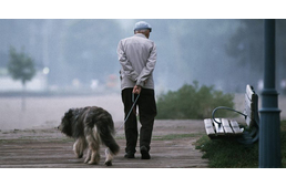 A kutyatartók tovább élnek!