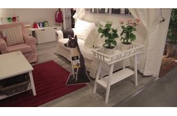 Árva állatoknak segít gazdára találni az IKEA - videóval!