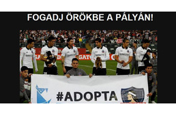 Gazdikereső kutyák a focipályán - igen, hazánkban!