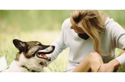 Boldogabbak a kutyatartók a macskásoknál