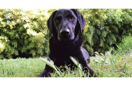 Kezdődik a toklász-szezon!