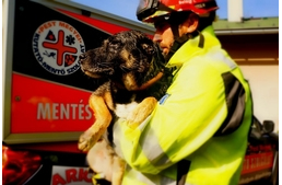 Pest Megyei Kutató-Mentő Szolgálat: Állatmentő projekt 