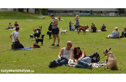Több mint 400 kutyás piknikezett együtt a hétvégén