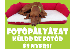 Fotópályázat a kutyabarathelyek.hu-n!