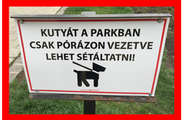 Drágul a kutyasétáltatás "napidíja"?!