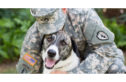 A kutyák őszinte szeretete a szörnyű emlékek hatását is enyhíti