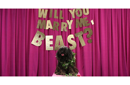 Egy magyar puli megkérte Mark Zuckerberg pulijának mancsát