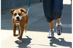 Tüntetés Kőbányán - mintegy ötszáz fő tiltakozott a park-rendelet ellen