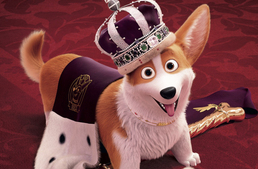 Mesefilm készül a királynő corgijairól