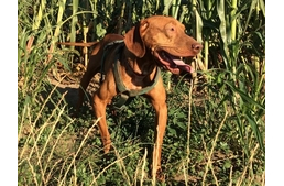 Remény a gyógyulás útján