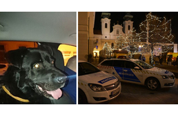 Vonatozott, majd a rendőrökhöz ment egy kutya szilveszterkor