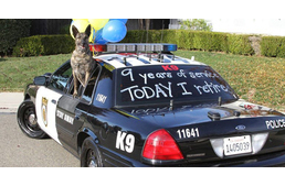 Saját búcsúbulit kapott a nyugdíjba vonuló rendőrkutya
