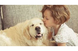 Kódolva van a génjeinkben, kutyatartók leszünk-e