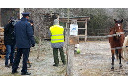 Budapesti fogvatartottak dolgoztak a Rex kutyáiért