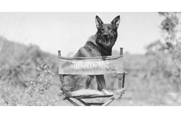 Mozifilm készül Rin Tin Tinről 