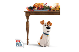 Kedvenceink titkos élete - Itt a karácsonyi kisfilm!