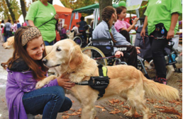 Túl barátságos a kutya?