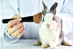 Több mint 10 millió állatot használtak fel egyetlen év alatt kísérletekre az Európai Unióban