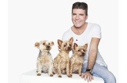 25.000 fontot adományozott Simon Cowell a kutyahús telepek bezáratására