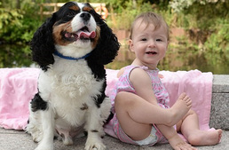 A család spánielje mentette meg a fuldokló csecsemőt