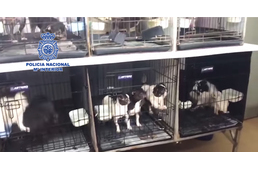 Óriás szaporítótelepet zárattak be Spanyolországban