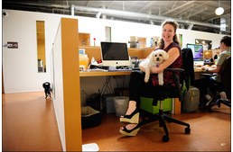 Angliában ma mindenki a kutyájával megy dolgozni