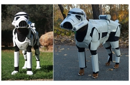 Ha már Star Wars...