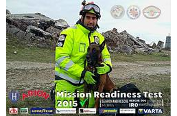 A világ legjobb romkutató kutyái közé választották a magyar Symbát